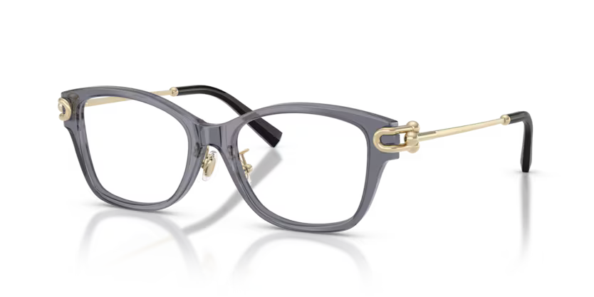 Tiffany & Co. Square Acetate Eyeglasses