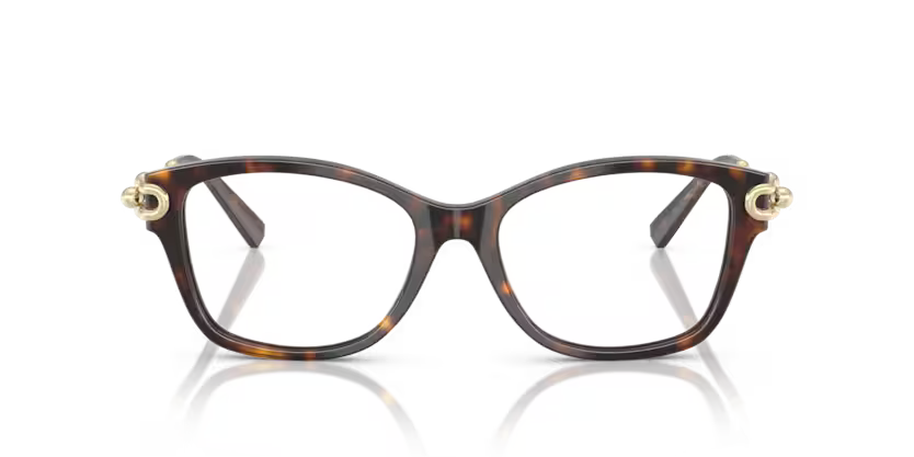 Tiffany & Co. Square Acetate Eyeglasses