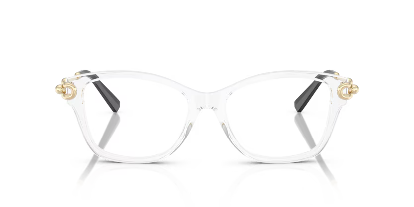 Tiffany & Co. Square Acetate Eyeglasses