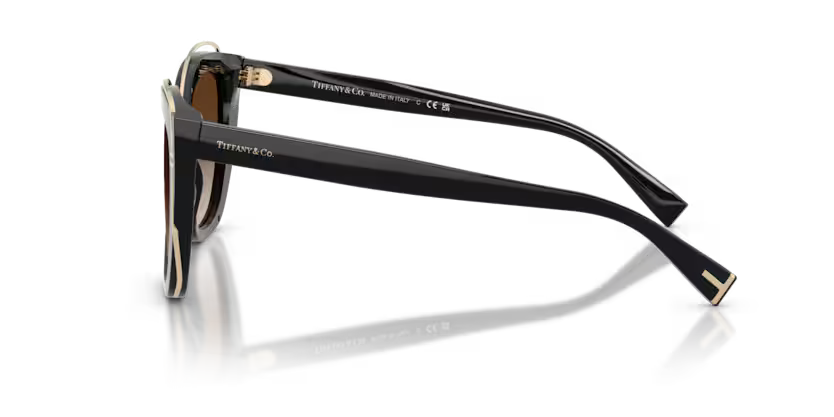 Tiffany & Co. Cat Eye Acetate Sunglasses