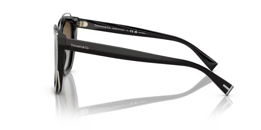 Tiffany & Co. Cat Eye Acetate Sunglasses