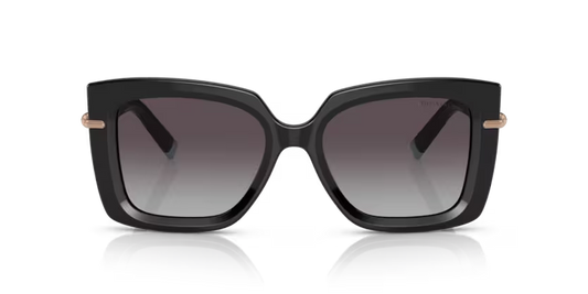 Tiffany & Co. Butterfly Acetate Sunglasses