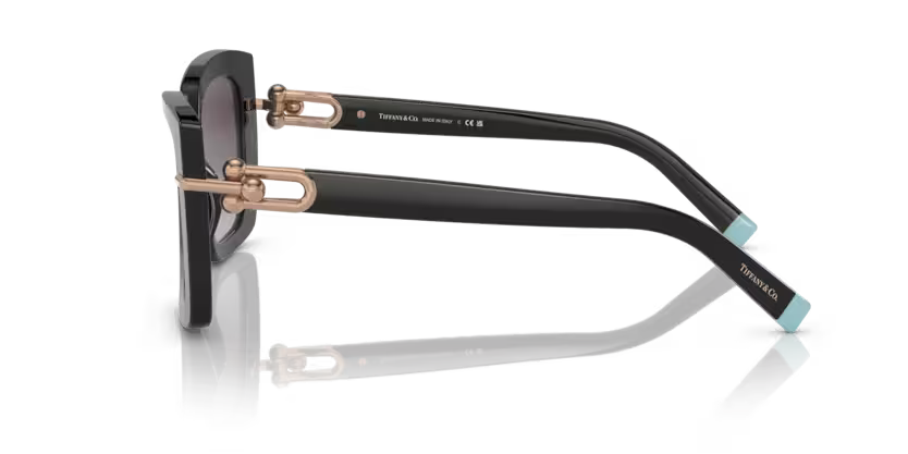 Tiffany & Co. Butterfly Acetate Sunglasses