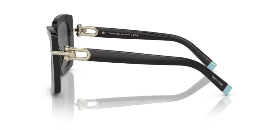 Tiffany & Co. Butterfly Acetate Sunglasses