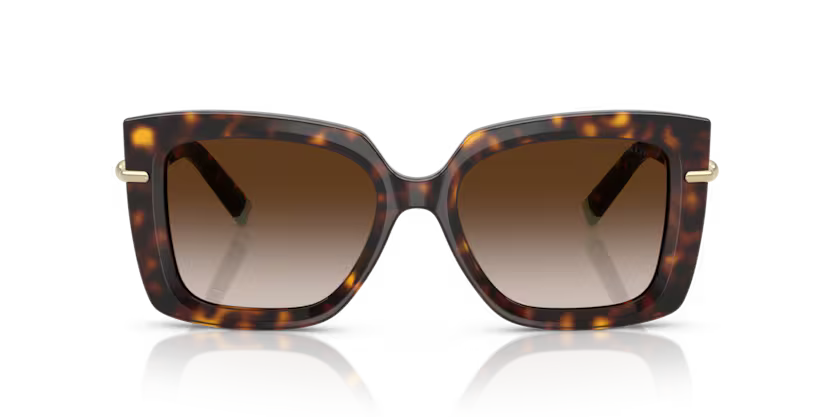 Tiffany & Co. Butterfly Acetate Sunglasses