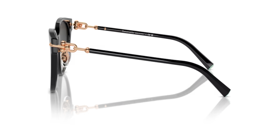 Tiffany & Co. Cat Eye Acetate Sunglasses