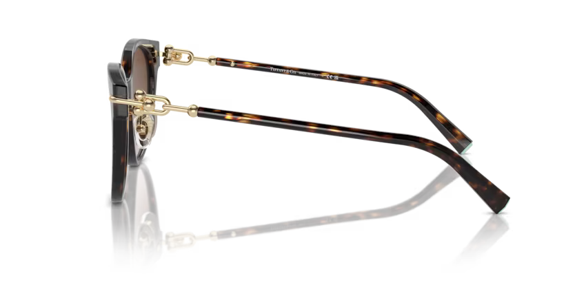 Tiffany & Co. Cat Eye Acetate Sunglasses