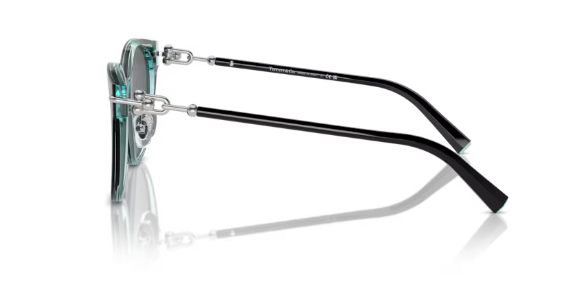 Tiffany & Co. Cat Eye Acetate Sunglasses