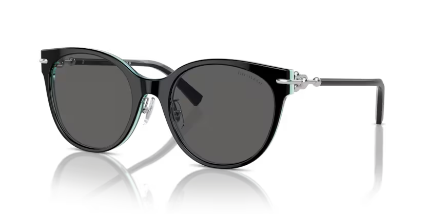Tiffany & Co. Cat Eye Acetate Sunglasses