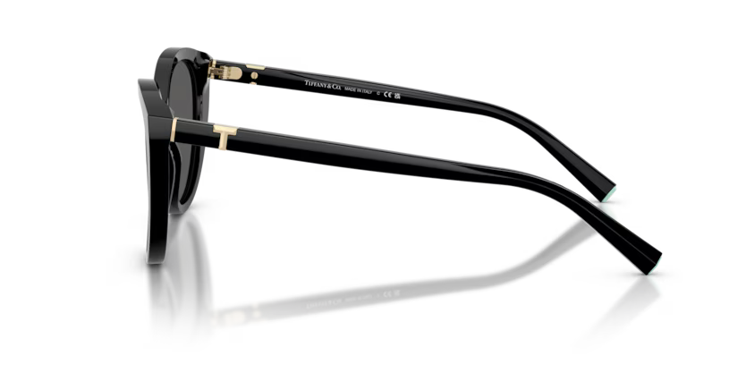 Tiffany & Co. Cat Eye Acetate Sunglasses