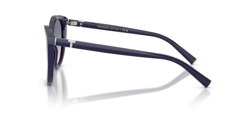 Tiffany & Co. Cat Eye Acetate Sunglasses