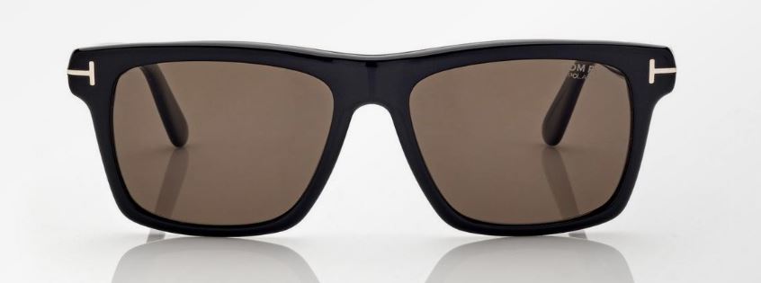 Tom Ford BUCKLEY Plastic Sunglasses