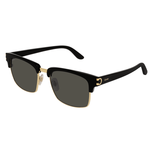 Signature C de Cartier Square Acetate Sunglasses