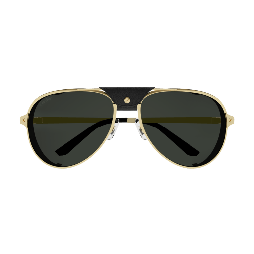 Santos de Cartier Aviator Metal Polarized Sunglasses