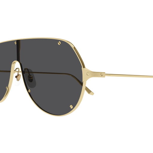 Santos de Cartier Aviator Metal Sunglasses