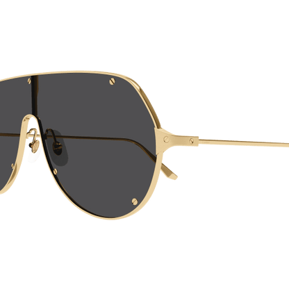 Santos de Cartier Aviator Metal Sunglasses