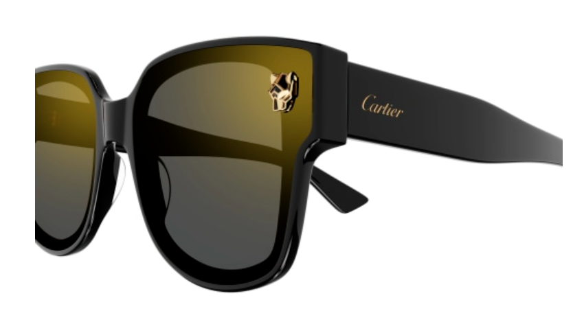 Panthère de Cartier Square Acetate Sunglasses