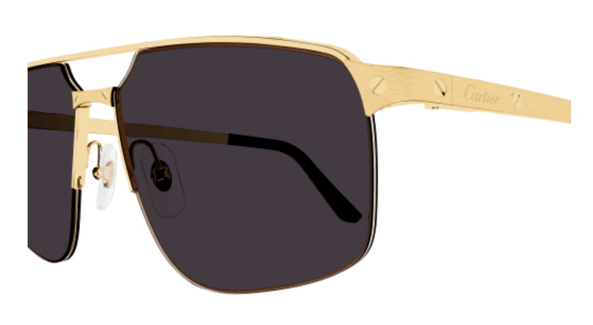Santos de Cartier Aviator Metal Sunglasses