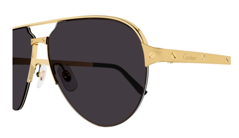 Santos de Cartier Aviator Metal Sunglasses
