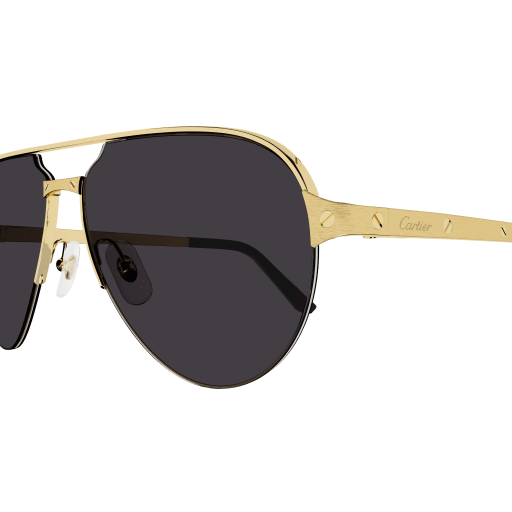 Santos de Cartier Aviator Metal Sunglasses
