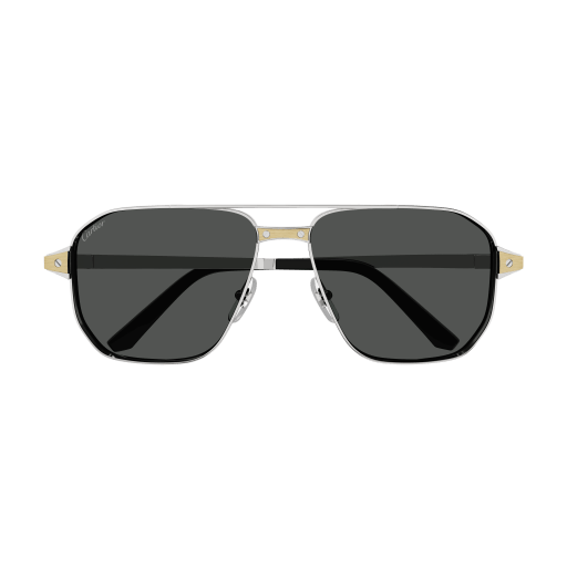 Santos de Cartier Aviator Metal Polarized Sunglasses