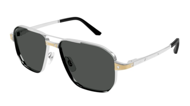 Santos de Cartier Aviator Metal Polarized Sunglasses