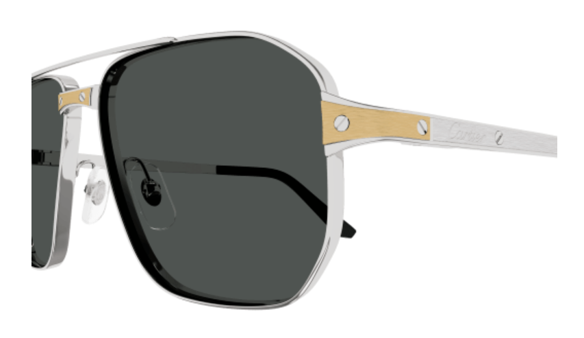 Santos de Cartier Aviator Metal Polarized Sunglasses