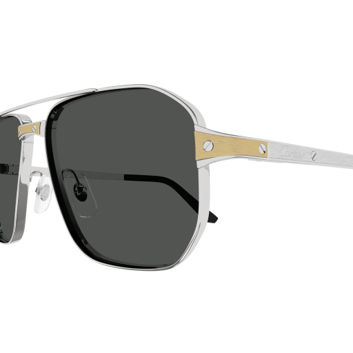 Santos de Cartier Aviator Metal Polarized Sunglasses