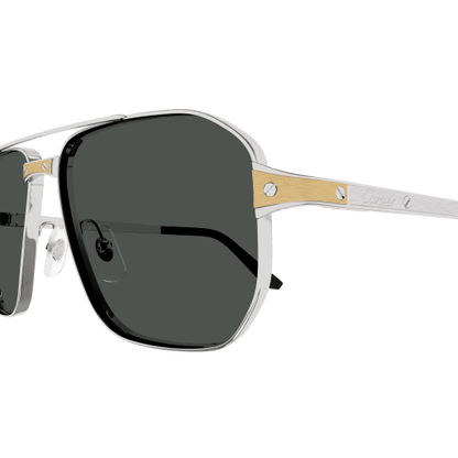 Santos de Cartier Aviator Metal Polarized Sunglasses