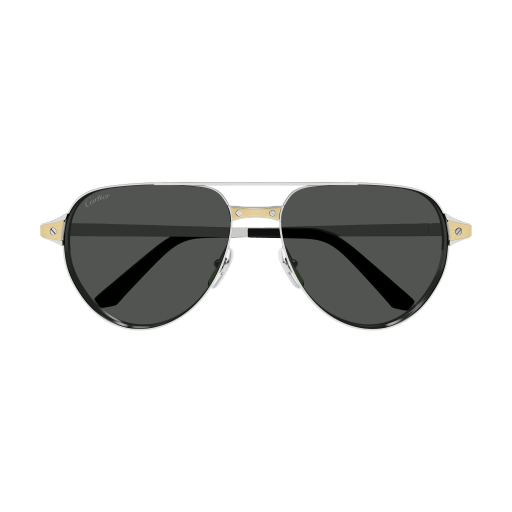 Santos de Cartier Aviator Metal Polarized Sunglasses
