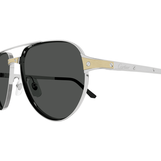Santos de Cartier Aviator Metal Polarized Sunglasses