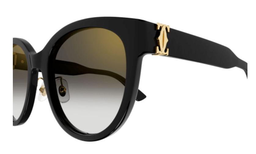 Signature C de Cartier Cat Eye Acetate Sunglasses