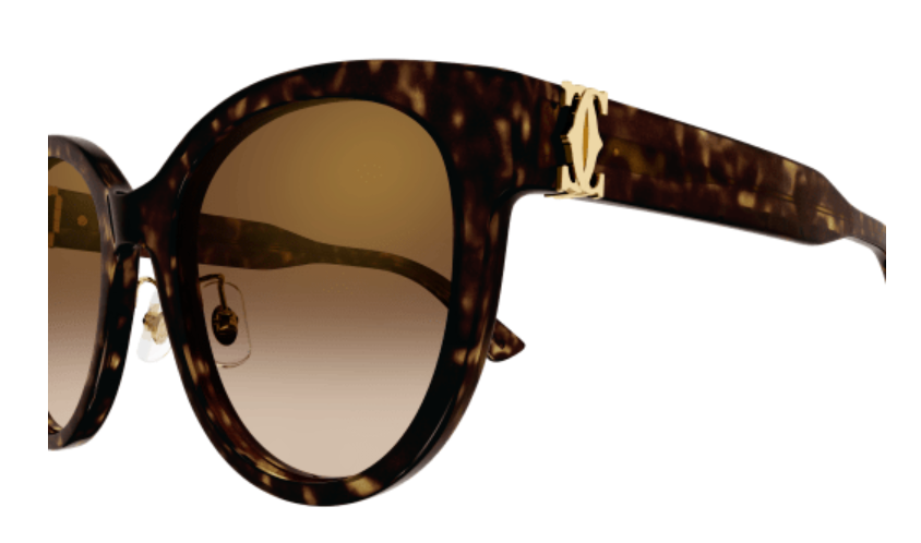 Signature C de Cartier Cat Eye Acetate Sunglasses