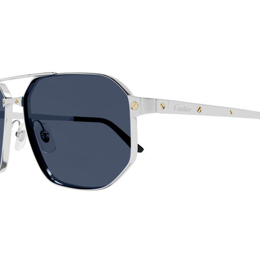 Santos de Cartier Aviator Metal Polarized Sunglasses