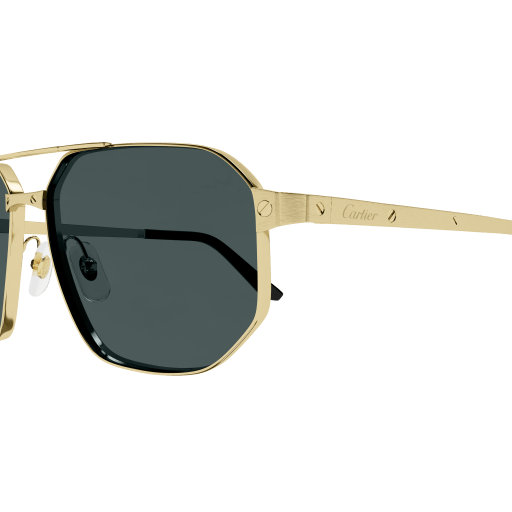 Santos de Cartier Aviator Metal Polarized Sunglasses