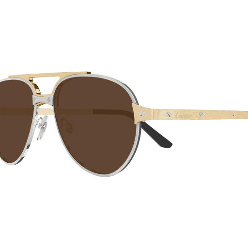 Santos de Cartier Aviator Metal Polarized Sunglasses