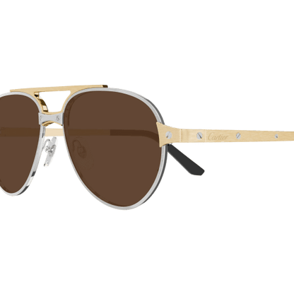 Santos de Cartier Aviator Metal Polarized Sunglasses