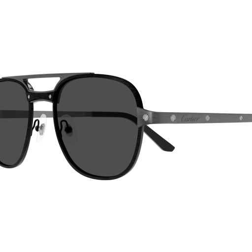 Santos de Cartier Aviator Metal Polarized Sunglasses