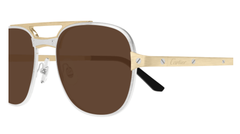 Santos de Cartier Aviator Metal Polarized Sunglasses