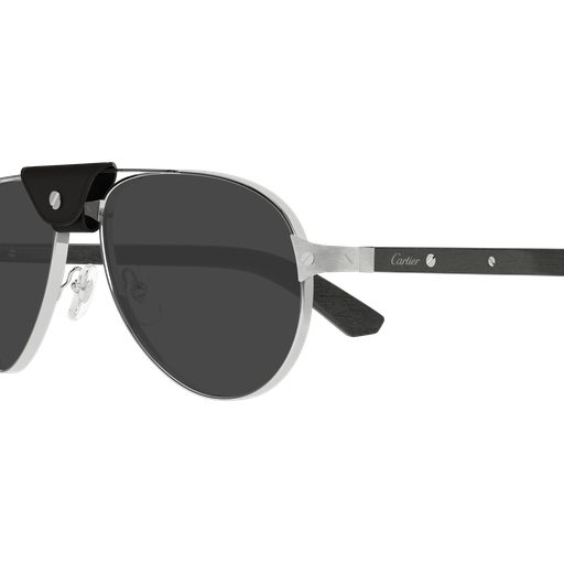 Santos de Cartier Aviator Metal Polarized Sunglasses