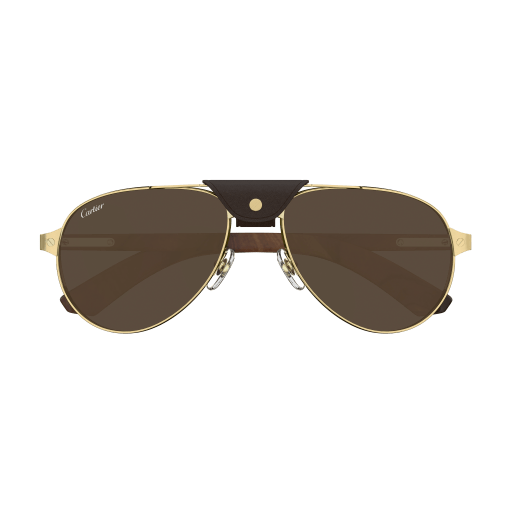Santos de Cartier Aviator Metal Polarized Sunglasses