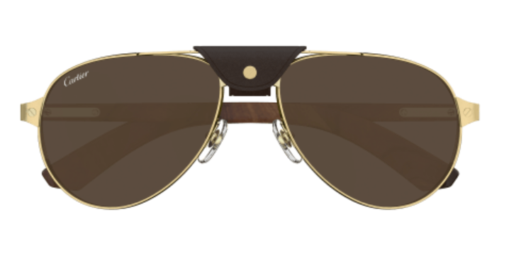 Santos de Cartier Aviator Metal Polarized Sunglasses