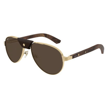 Santos de Cartier Aviator Metal Polarized Sunglasses