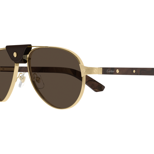 Santos de Cartier Aviator Metal Polarized Sunglasses