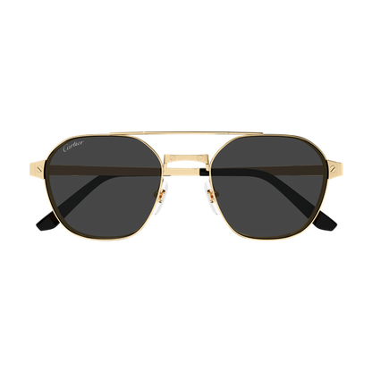 Santos de Cartier Aviator Metal Polarized Sunglasses