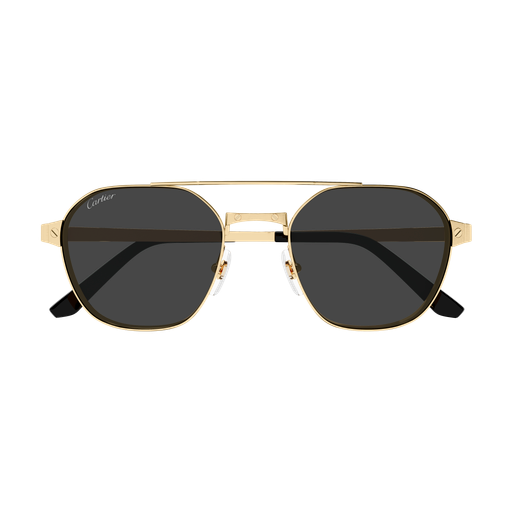 Santos de Cartier Aviator Metal Polarized Sunglasses