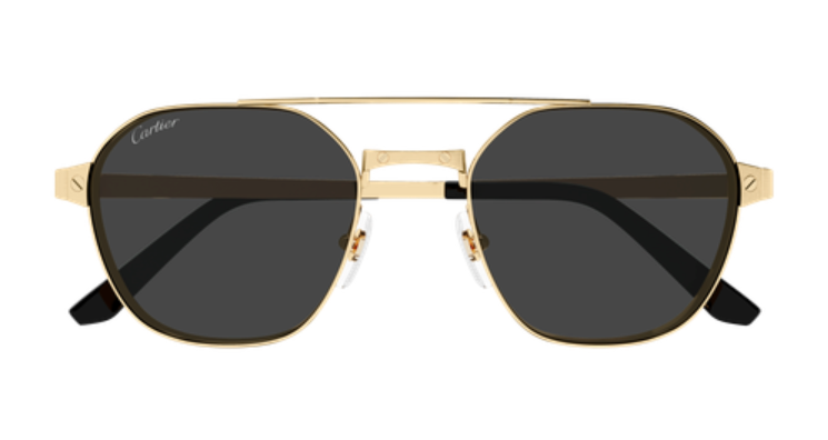 Santos de Cartier Aviator Metal Polarized Sunglasses