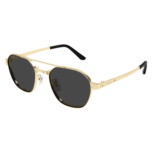 Santos de Cartier Aviator Metal Polarized Sunglasses