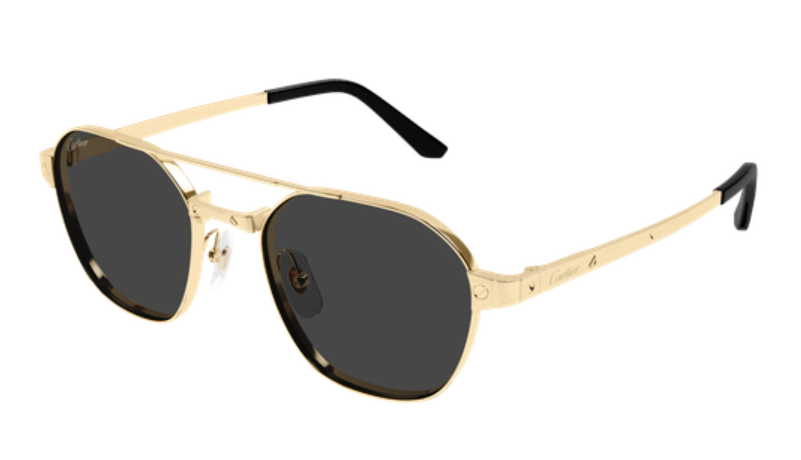 Santos de Cartier Aviator Metal Polarized Sunglasses