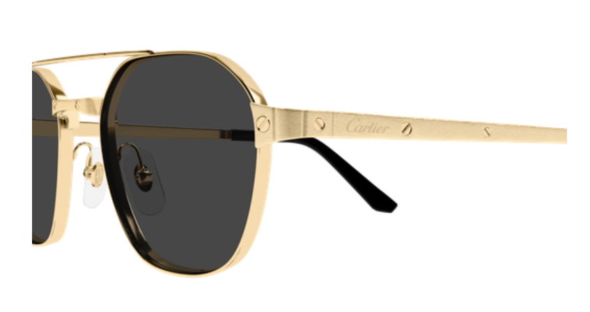 Santos de Cartier Aviator Metal Polarized Sunglasses